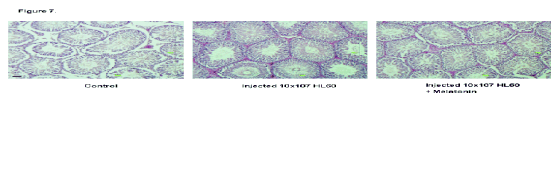 delgad_4.gif delgad_4.gif