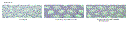 delgad_4.gif