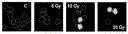 havelek_5apr11_fig3.gif