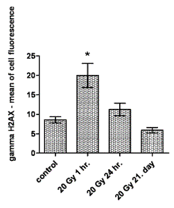 havelek_5apr11_fig6.gif