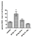 havelek_5apr11_fig6.gif