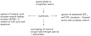 pohankafigure1.gif