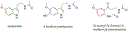 pohankafigure2.gif