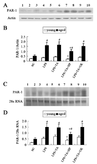 shupeng_revised_fig2.gif shupeng_revised_fig2.gif