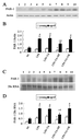 shupeng_revised_fig2.gif
